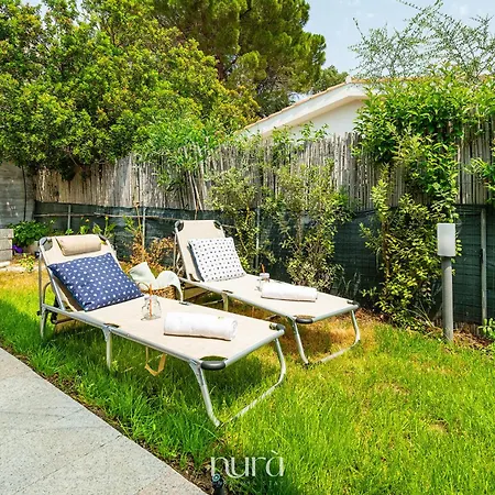 Nura Rei Коста Рей